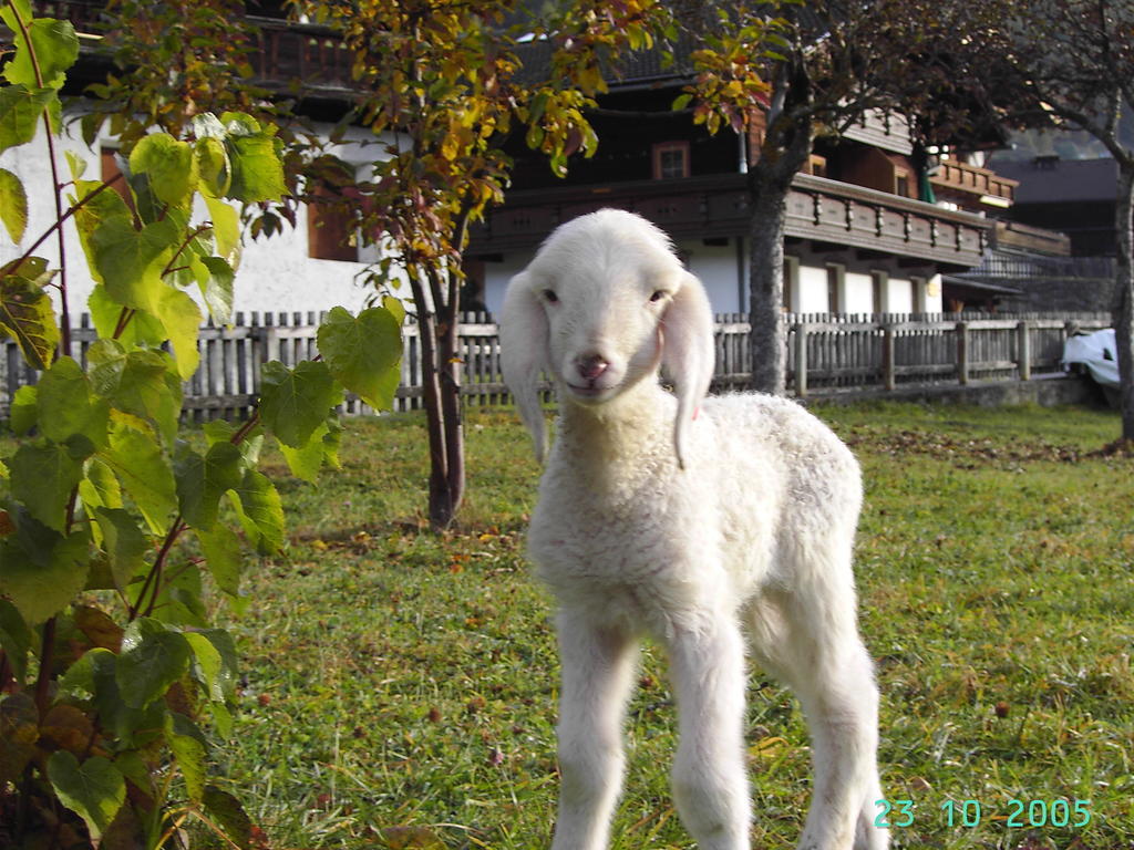 Hansenhof Pragraten ภายนอก รูปภาพ